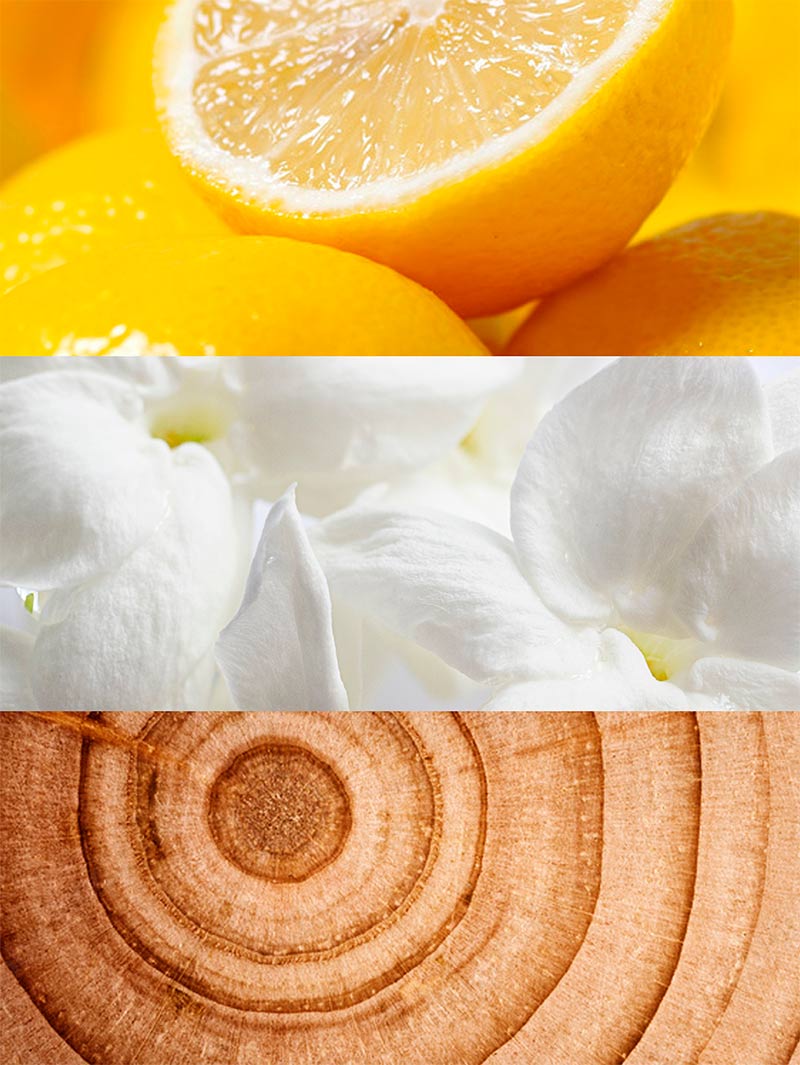 Nuty zapachowe