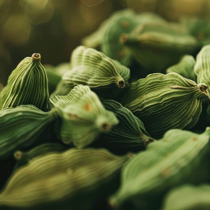 cardamomo-salida