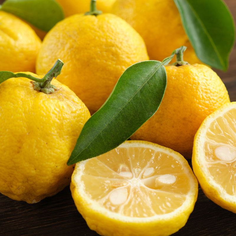 yuzu-salida